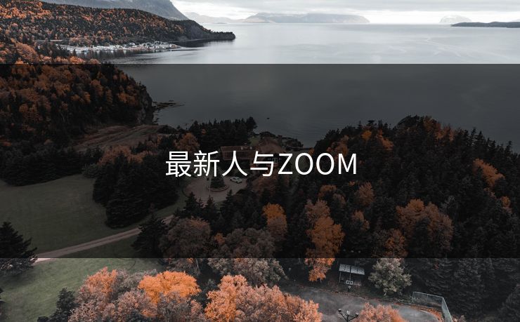 最新人与ZOOM
