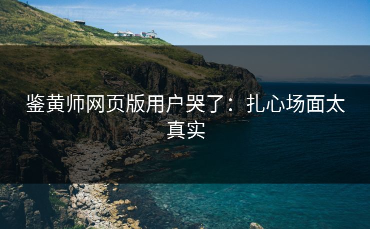 鉴黄师网页版用户哭了：扎心场面太真实