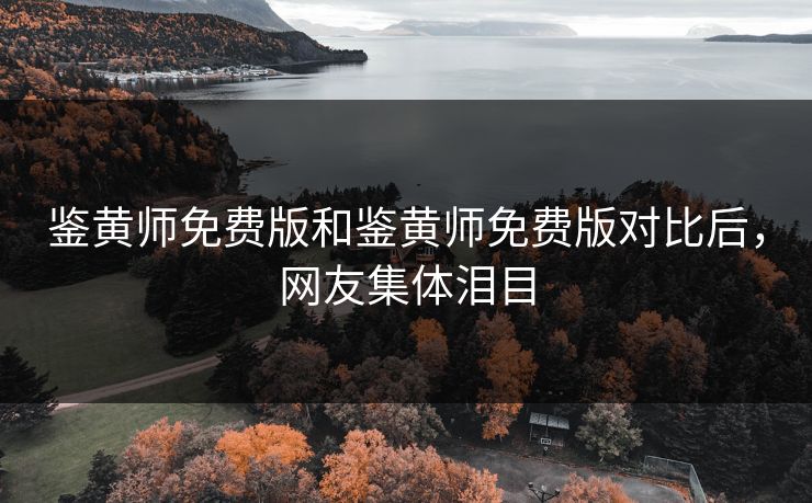 鉴黄师免费版和鉴黄师免费版对比后，网友集体泪目