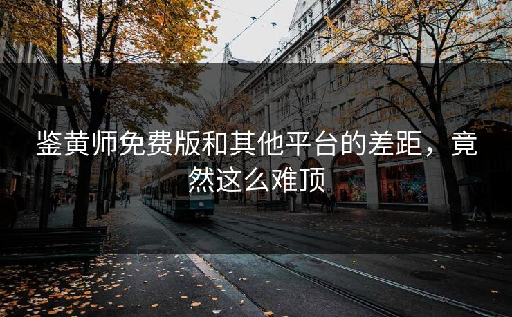 鉴黄师免费版和其他平台的差距，竟然这么难顶