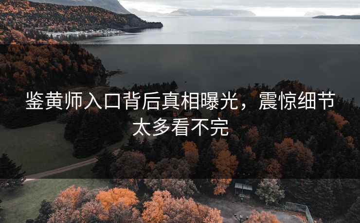 鉴黄师入口背后真相曝光，震惊细节太多看不完