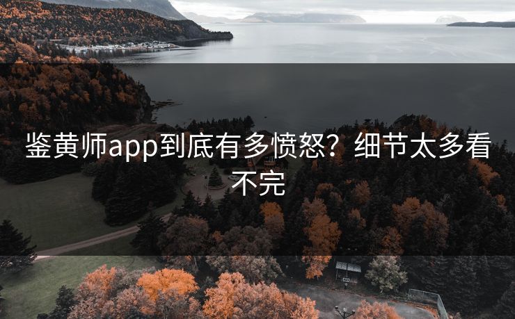 鉴黄师app到底有多愤怒？细节太多看不完