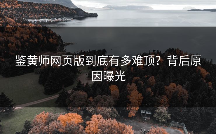 鉴黄师网页版到底有多难顶？背后原因曝光