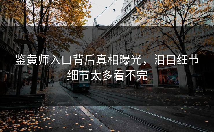 鉴黄师入口背后真相曝光，泪目细节细节太多看不完