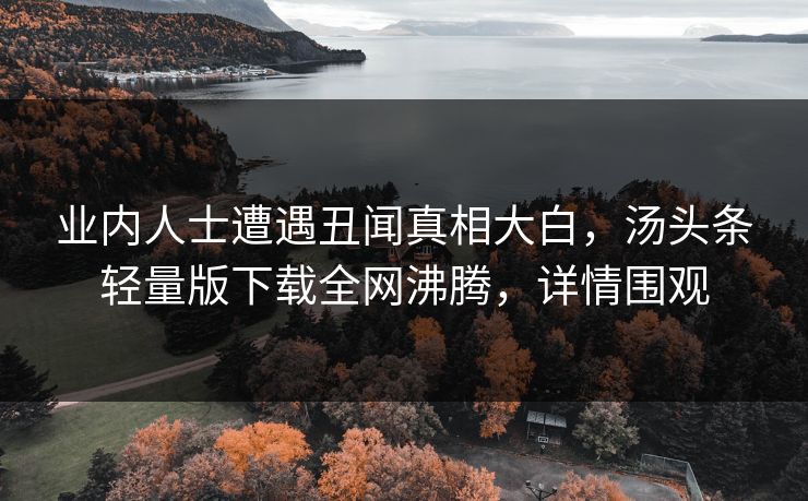 业内人士遭遇丑闻真相大白，汤头条轻量版下载全网沸腾，详情围观