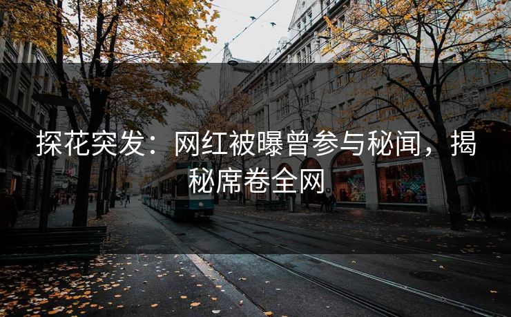 探花突发：网红被曝曾参与秘闻，揭秘席卷全网
