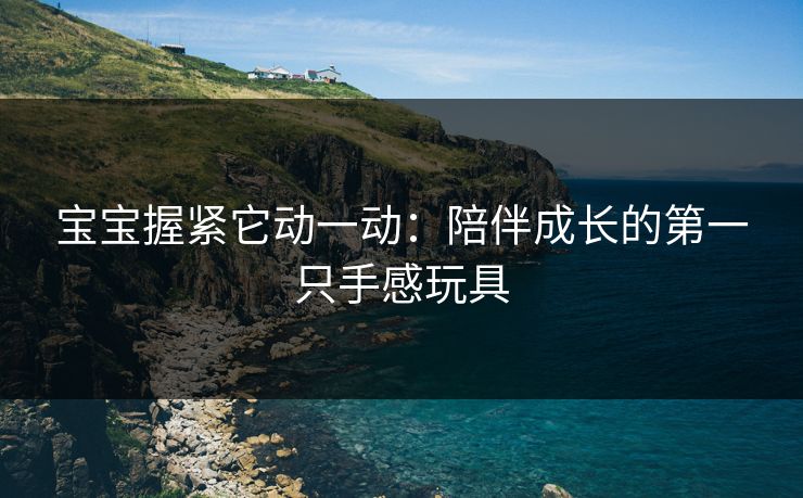 宝宝握紧它动一动：陪伴成长的第一只手感玩具