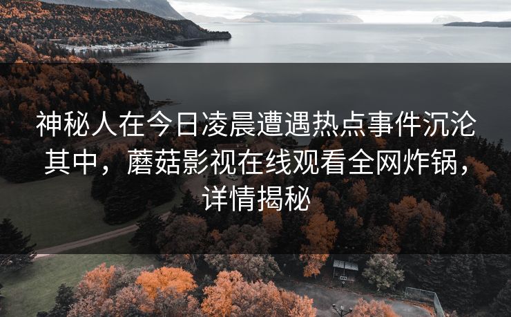 神秘人在今日凌晨遭遇热点事件沉沦其中，蘑菇影视在线观看全网炸锅，详情揭秘