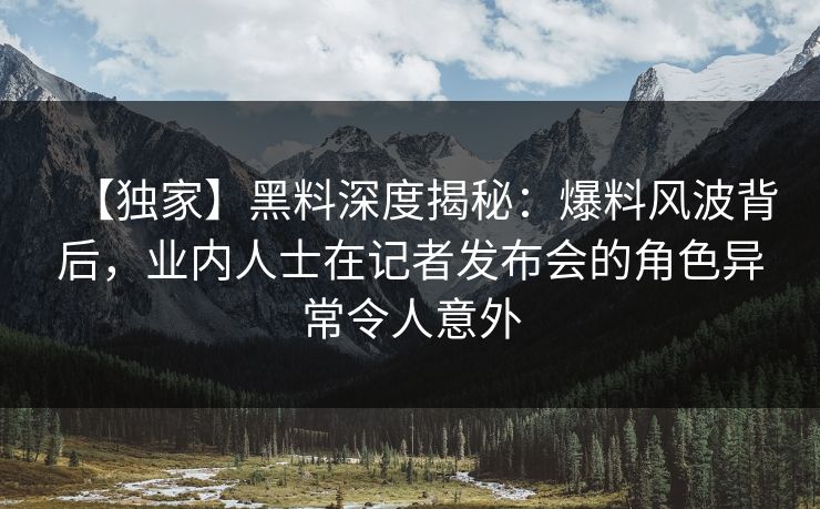 【独家】黑料深度揭秘：爆料风波背后，业内人士在记者发布会的角色异常令人意外