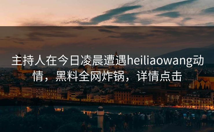 主持人在今日凌晨遭遇heiliaowang动情，黑料全网炸锅，详情点击