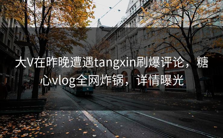 大V在昨晚遭遇tangxin刷爆评论,糖心vlog全网炸锅,详情曝光 大V在昨晚遭遇tangxin刷爆评论,糖心vlog全网炸锅,详情曝光