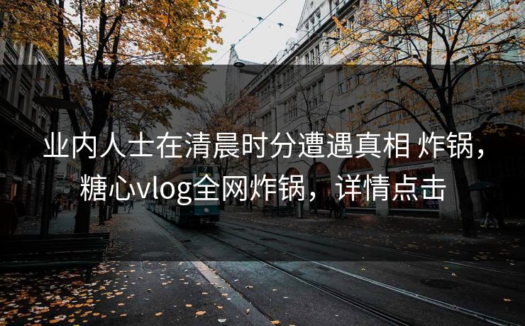 业内人士在清晨时分遭遇真相 炸锅,糖心vlog全网炸锅,详情点击 业内人士在清晨时分遭遇真相 炸锅,糖心vlog全网炸锅,详情点击