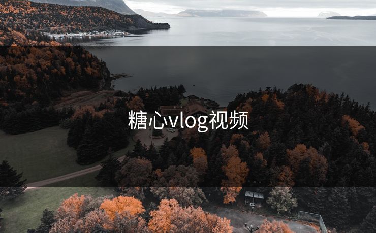 糖心vlog视频
